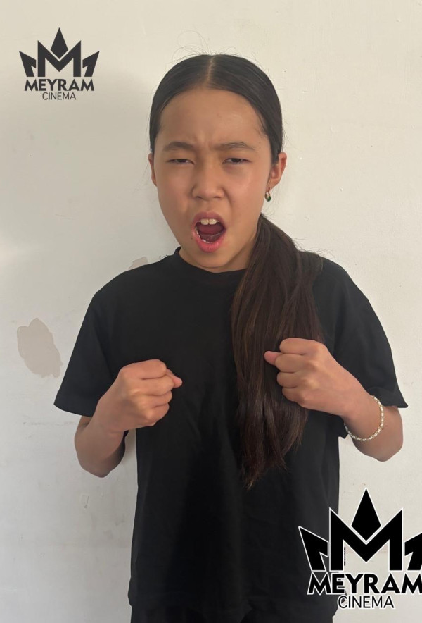 Әмина Сейсенбек