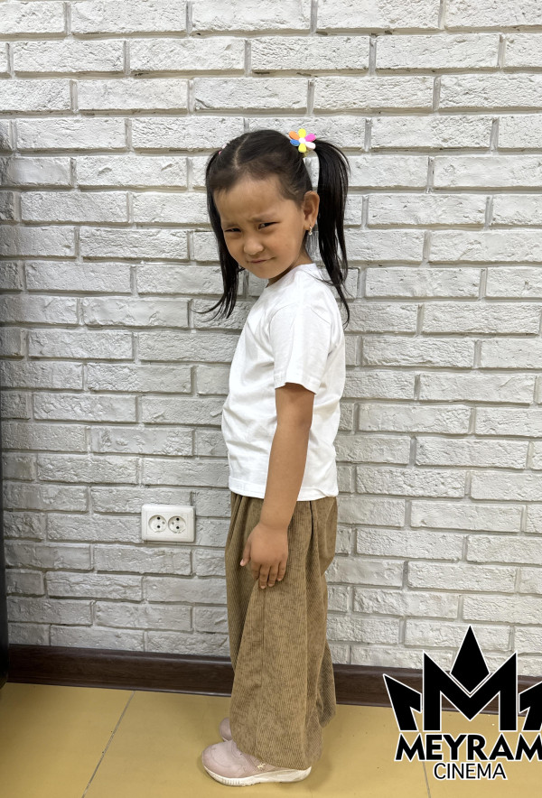 Әмина Мерген