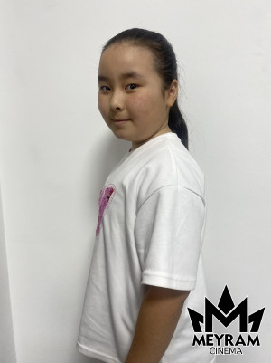 Айару Мизам