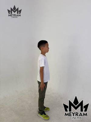 Айсұлтан Ноғай