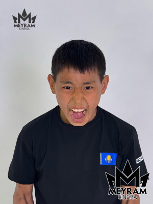 Нұрасыл Тәжібай