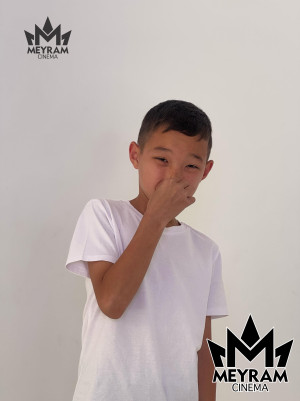 Айсұлтан Ноғай