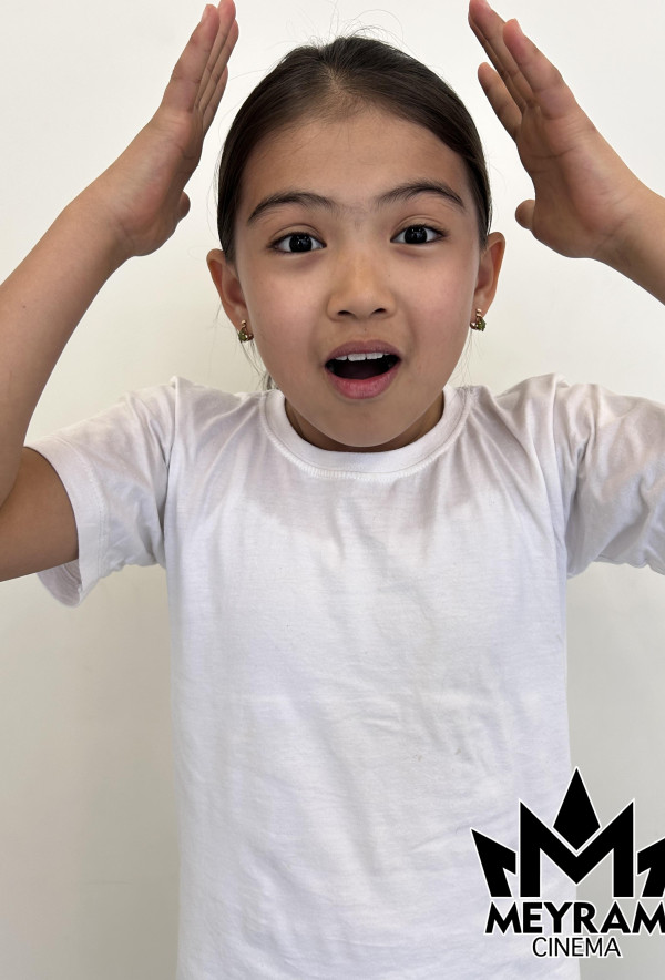 Әмина Нұрлан