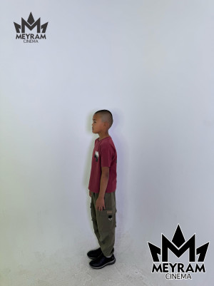 Алпамыс Қырықбай