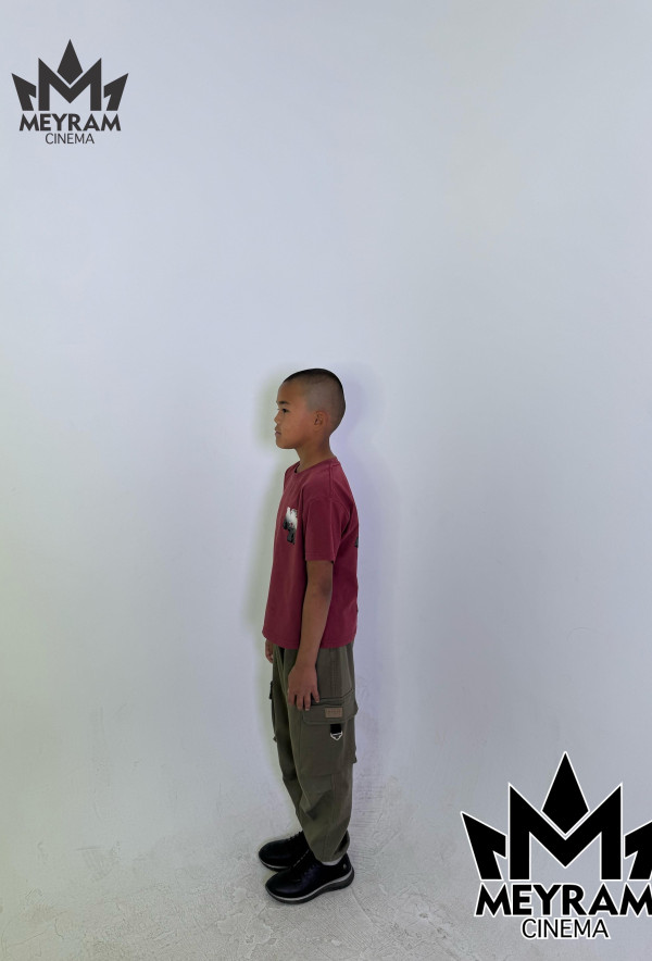 Алпамыс Қырықбай