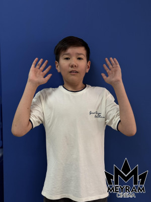 Нұрасыл Әміржан