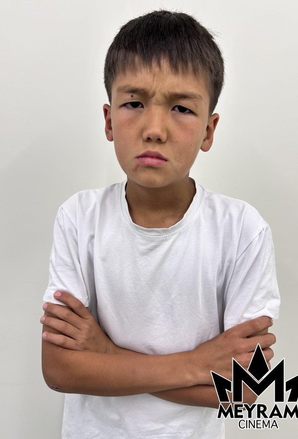 Ғазиз Ұланұлы