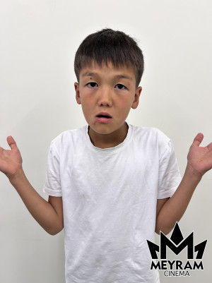 Ғазиз Ұланұлы