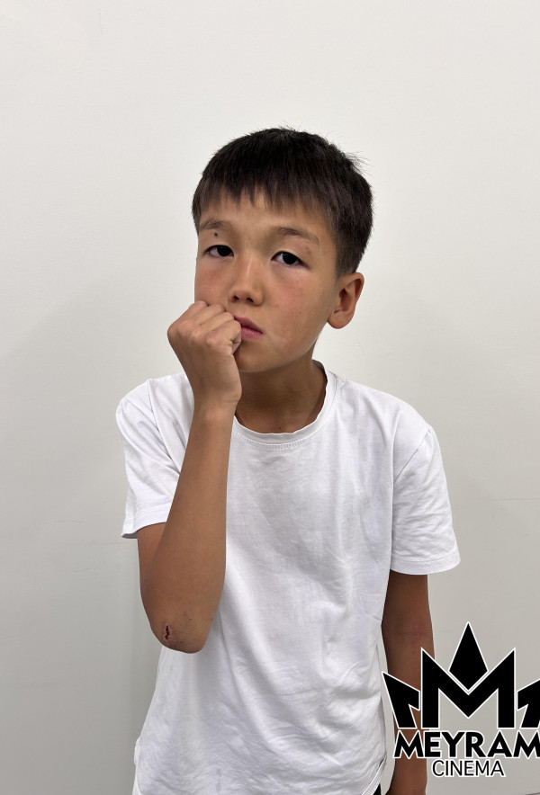 Ғазиз Ұланұлы