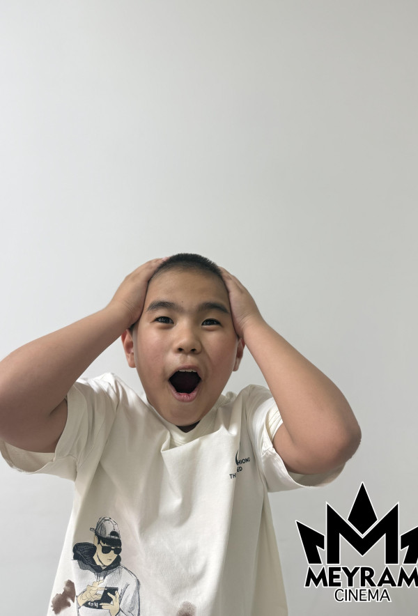 Жансерік Ермек