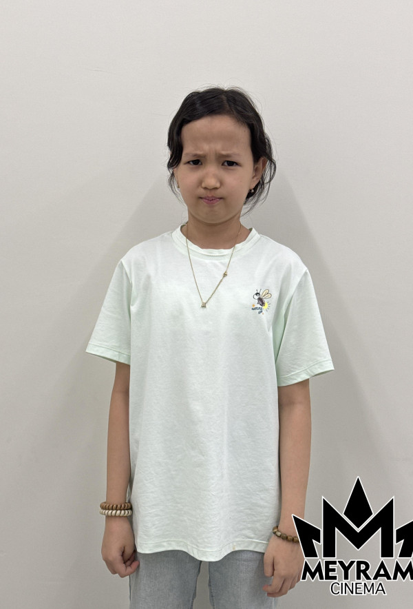 Айзере Алпамыс