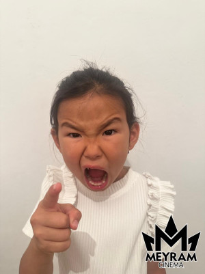 Әмина Шәріпхан