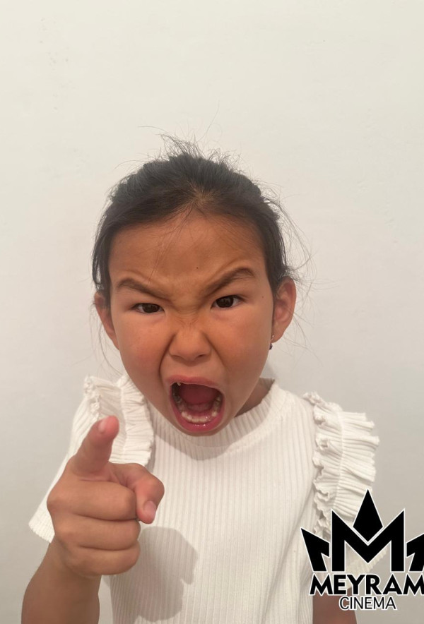 Әмина Шәріпхан