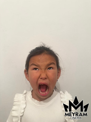 Әмина Шәріпхан