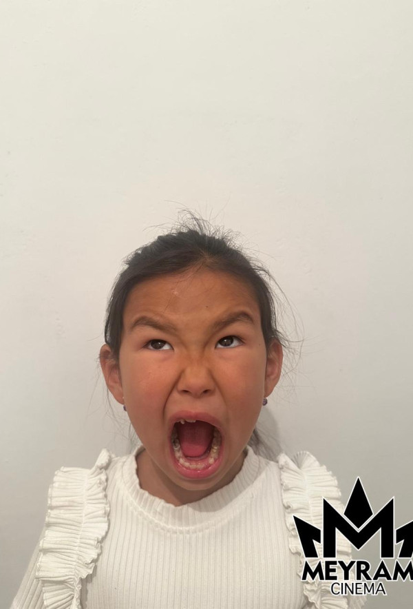 Әмина Шәріпхан