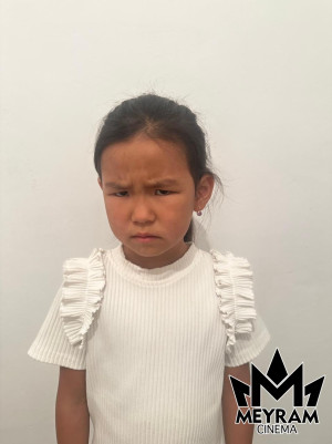 Әмина Шәріпхан