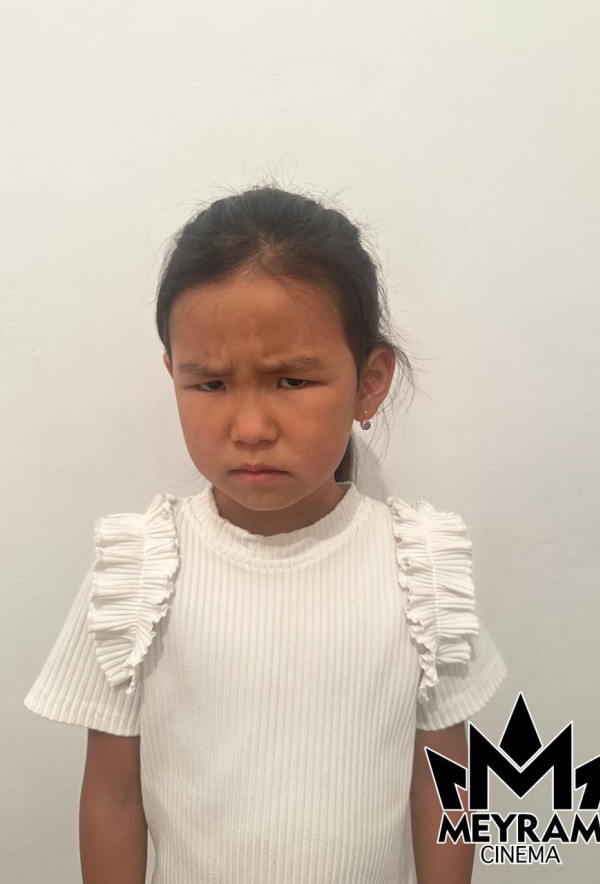 Әмина Шәріпхан