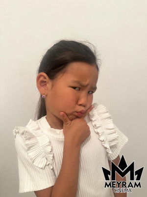 Әмина Шәріпхан