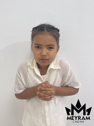 Айша Дүйсенәлі