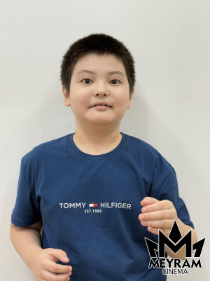 Амир Бисембин