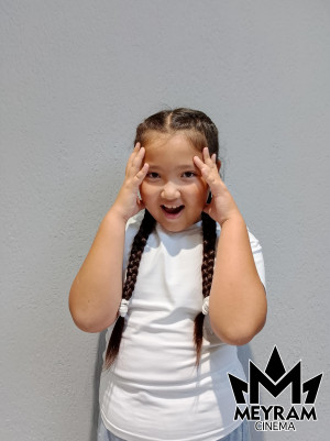 Ақерке Арон