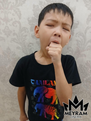 Ержүрек Сабиткан