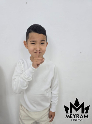 Әлисұлтан Тұрсынбай